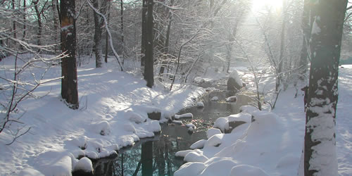 Whether Winter Weather?