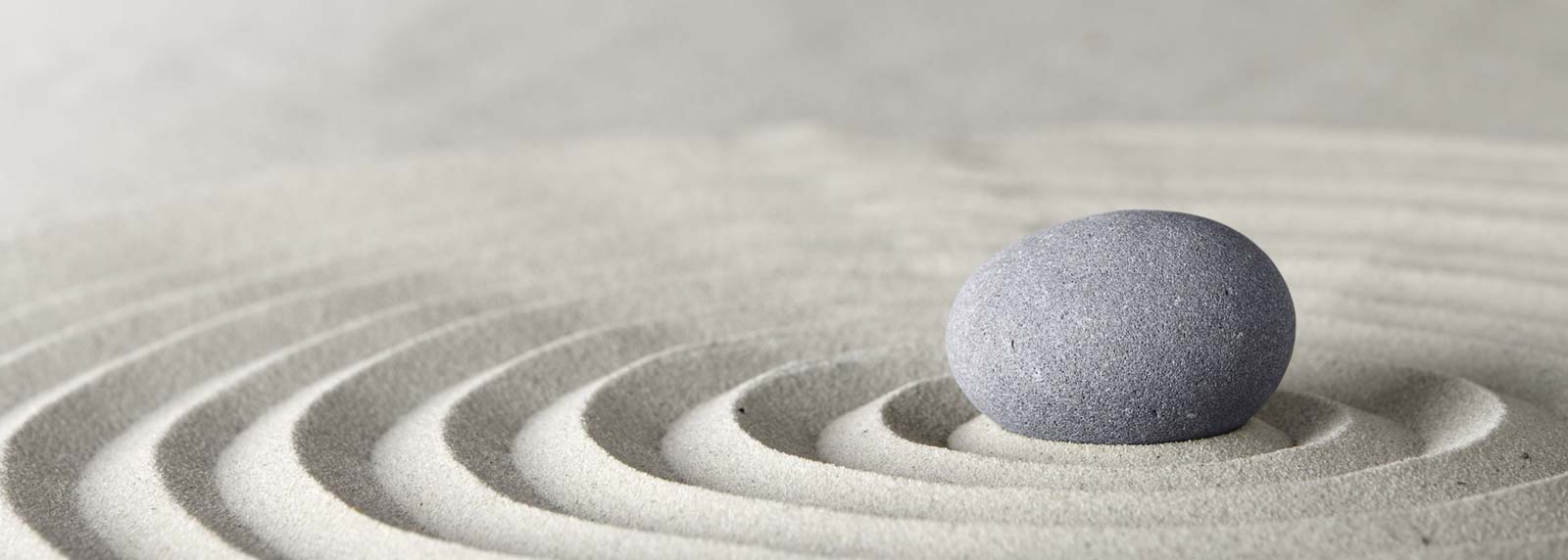 Wisdom, in a Nutshell from Pema Chödrön