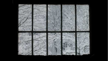 Forecast: Cold and Snow