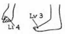Favorite Acupuncture Points: The 4 Gates