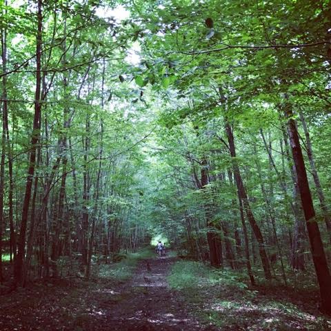 Setting an Intension: How It Can Make a Difference in Your Direction
