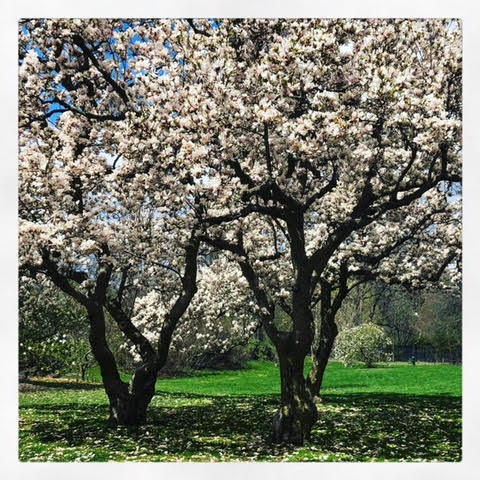 Spring is here!