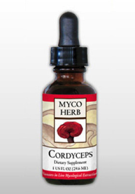 Cordyceps: Herbal Highlight