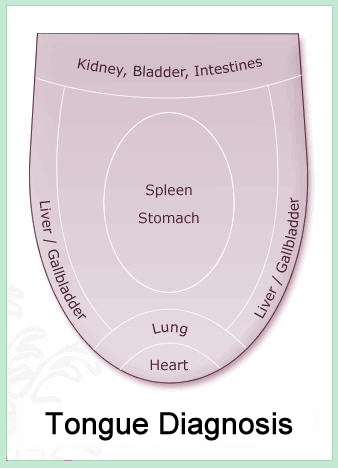 What’s the Tongue Say About Our Health?