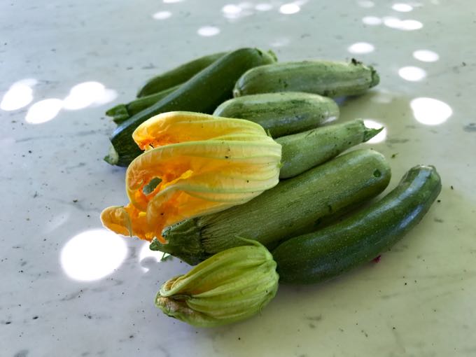 National Zucchini Day — August 8