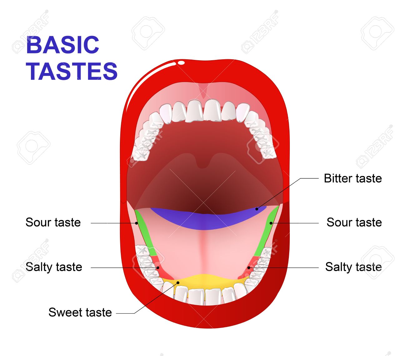A Taste Is Not Just a Taste