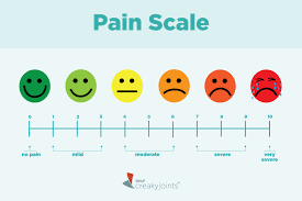 Translating Pain