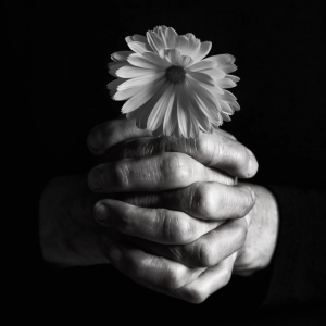 MindBody Grief Coaching
