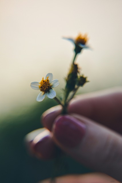 How Gratitude Became My Lifeline Through Grief (And How It Can Be Yours Too)